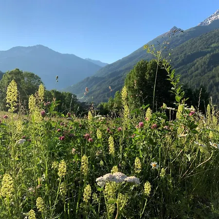 Virgenhaus فيرجن